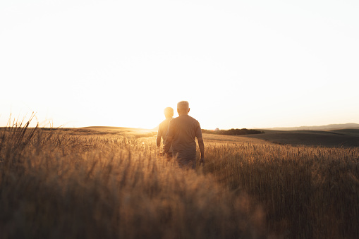 Farmers walking away in the wheat field