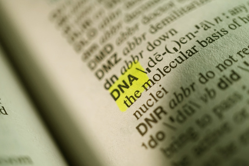 concept of dna