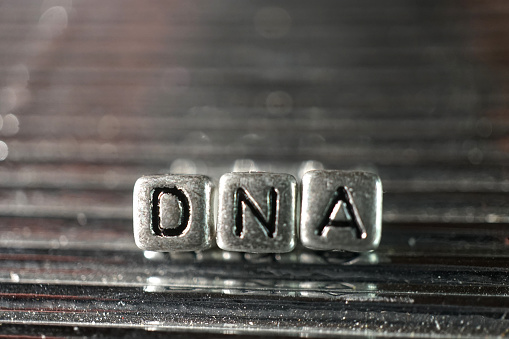 concept of dna