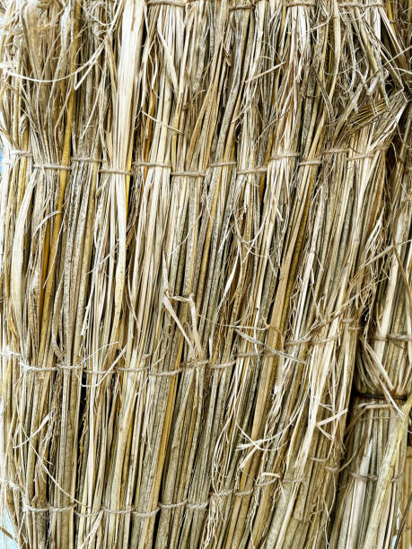 Bundle of straw Bundle of straw thatched roof hut straw grass hut stock pictures, royalty-free photos & images