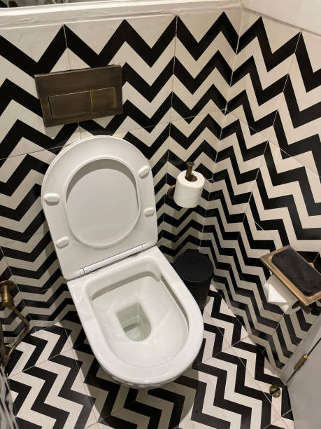 Stock photo of luxury, white bathroom suite with black and white zig-zag patterned floor and wall tiles. imagen en primer plano de la suite de baño de cerámica blanca, inodoro colgado de pared contemporánea con asiento hacia arriba, azulejos de pared y piso con motivos en zigzag monocromáticos, rollo de papel higiénico en soporte de papel higiénico, con