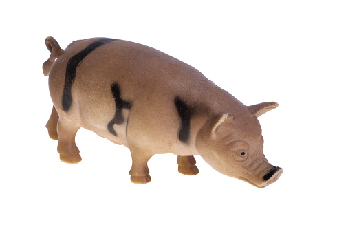 boar figurine isolated on white background
