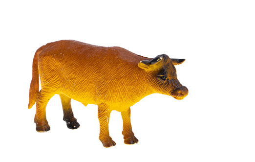 cow figurine isolated on white background