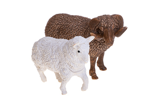 sheep figurine isolated on white background