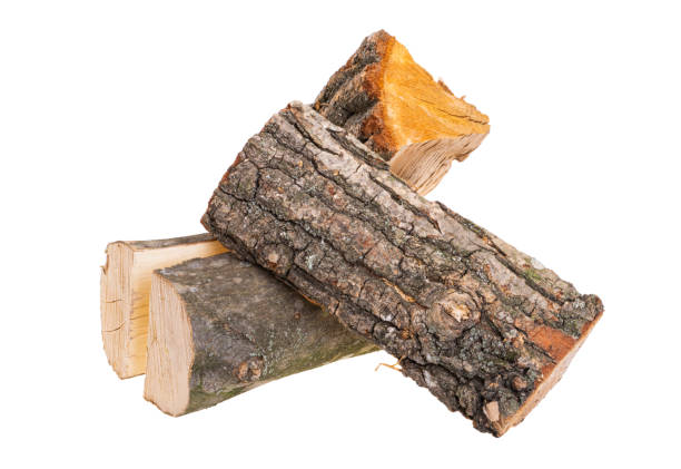 istock chopped oak firewood isolated 1454758234