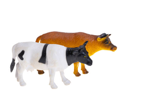 istock cow figurine isolated 1454758272
