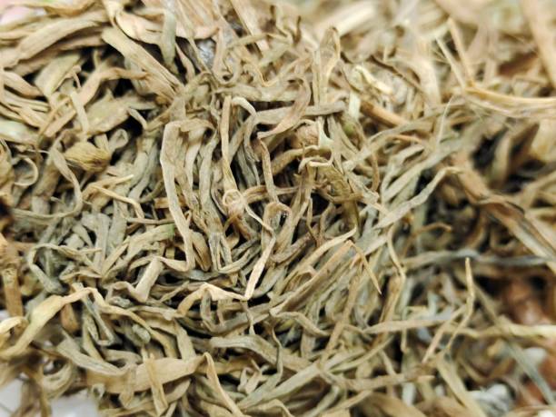 istock Background of Brown Dried Grass and Leaves 1454760701