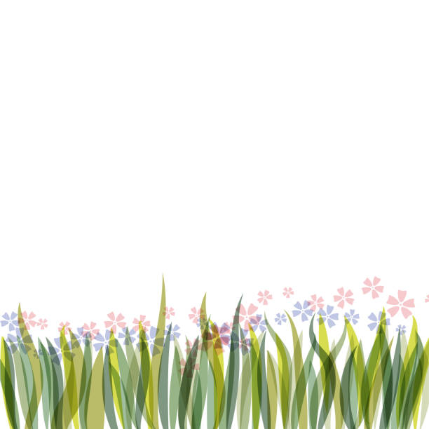 白い背景に緑の草の境界線。 - grass prairie silhouette meadow点のイラスト素材／クリップアート素材／マンガ素材／アイコン素材