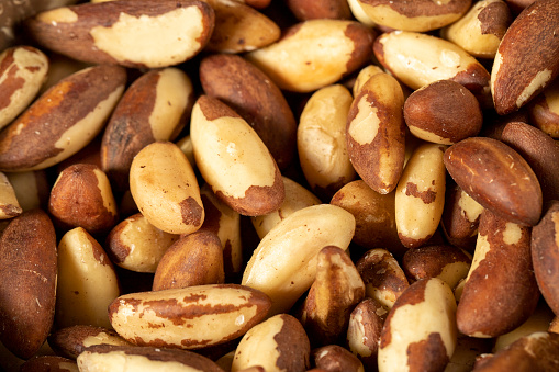 Brazil nut on dark background. Many delicious brazil nuts as background. Studio shoot. close up