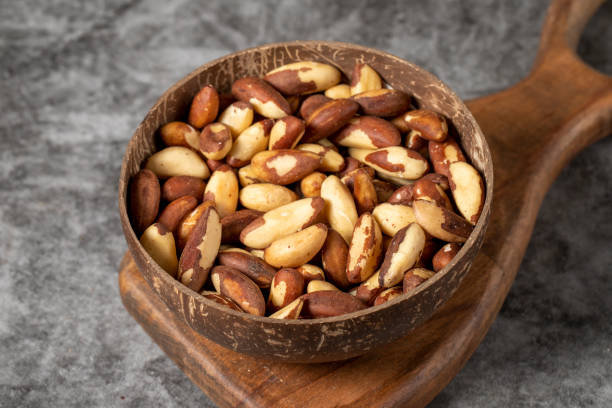 istock Brazil nut on dark background. Brazil nut in bowl. Studio shoot. close up 1454765154