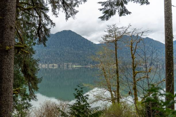istock Green mountains with reflections on the lake on a cloudy day 1454765946