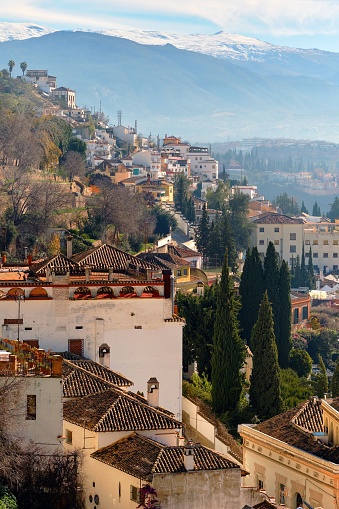 A vertical shot of idyllic scenery of houses and trees in Granada, Andalusia, Spain
