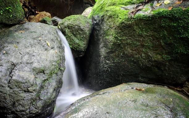 istock Small waterfall flowing down the mossy rocks in long exposure 1454766763