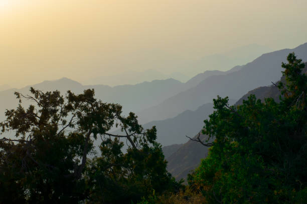 istock Al-Souda Mountains, Abha, southern Saudi Arabia 1454766909