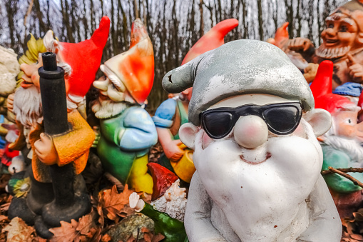colorful garden gnomes with black sunglasses at a place in the forest during hiking