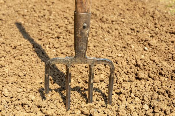 istock Closeup of pitchfork stuck in sandy ground 1454768601