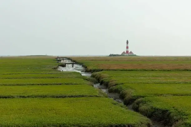 A distant view of the lighthouse among the salt meadows in Westerhever, in the northern sea in Germany