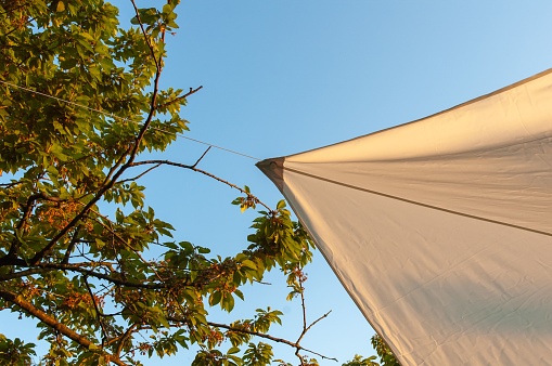 A bottom view of a sunshade near a tree under a blue sky