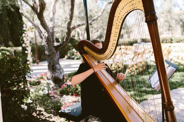 frau spielt eine harfe im freien - harfe stock-fotos und bilder