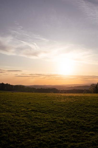 istock Green field during golden hour 1454773012