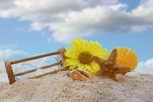 Broken Hourglass With Sea Shells and Flower on Beach With Blue Sky
