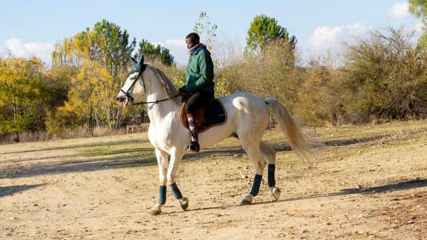 istock Black man riding a white horse at the farm. 1454777168