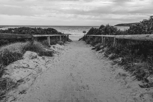 istock Grayscale of a trail to the Manly Beach 1454777706
