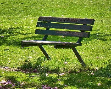 An old wooden bench in the grass park