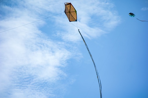 A beautiful low angle of a kite in the blue sky