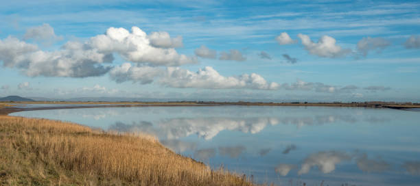 istock Cloudy sky over the sea in summer 1454780968