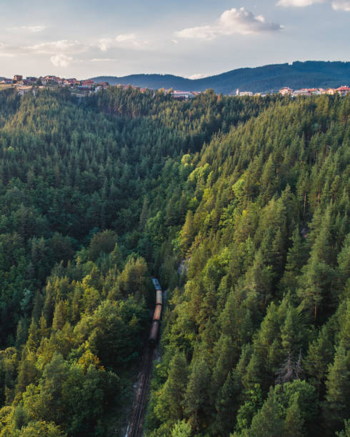 istock Aerial view of a train driving through a dense forest 1454782216