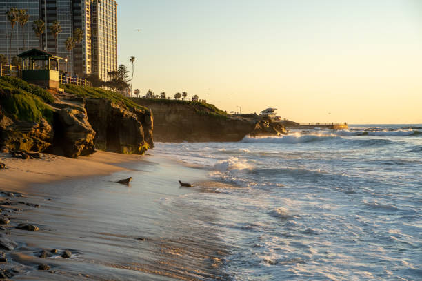istock Rocky shoreline on the sunset 1454782325