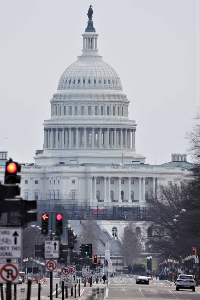 istock Vertical shot of US capitol building 1454782756