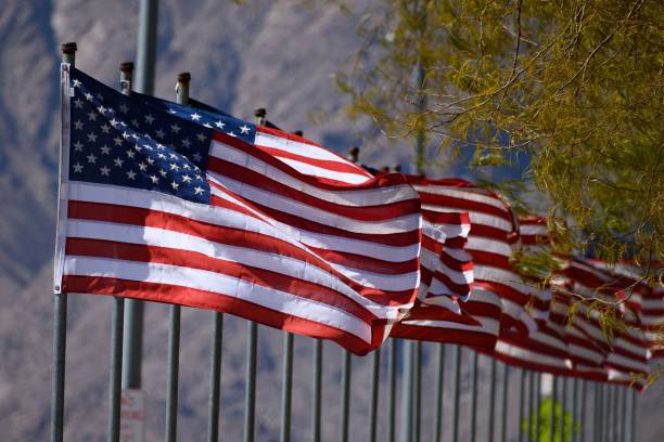 istock Row of waving American flags 1454783271
