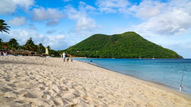 istock Daytime view of a beach at the Caribbean 1454783368