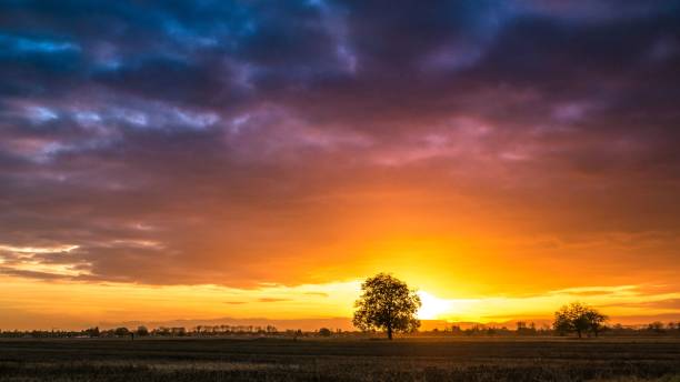 istock Agricultural field with trees against scenic sunset in Germany 1454783688