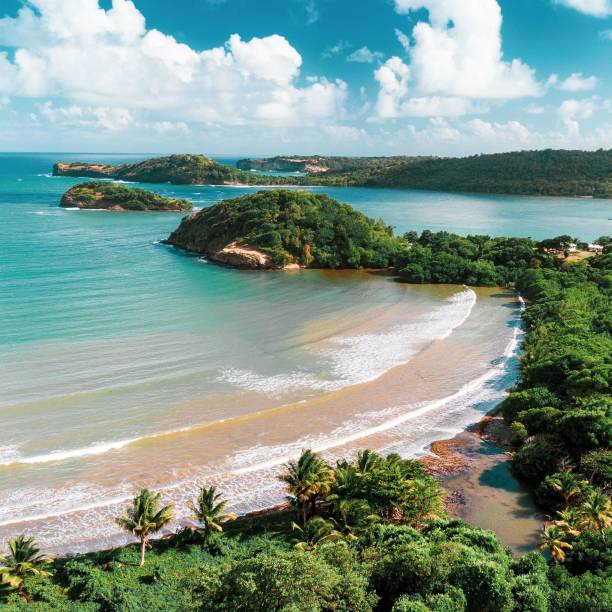 A beautiful view of the Caribbean beach during summer