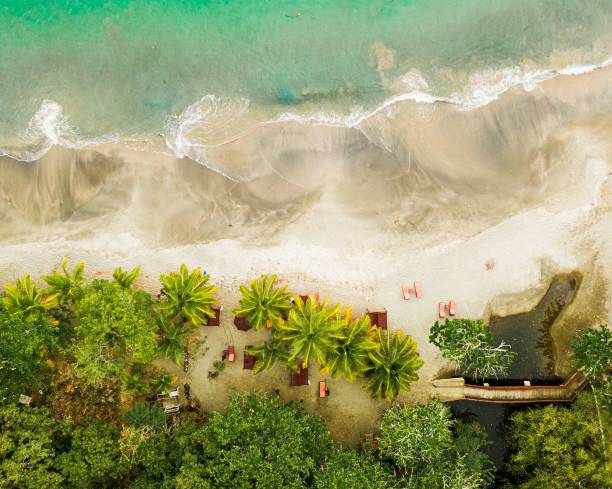 istock Beautiful view of the Caribbean beach during summer 1454783782