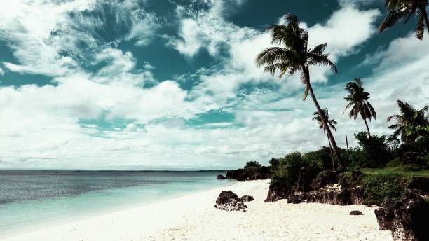 istock Beach landscape with palm trees on a cloudy day 1454784601