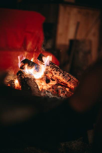 istock Vertical shot of wooden logs burning in glowing fire 1454785501