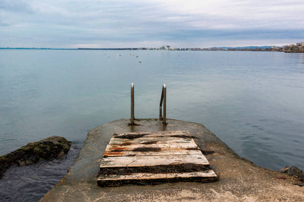 istock Ladder to the sea 1454787529