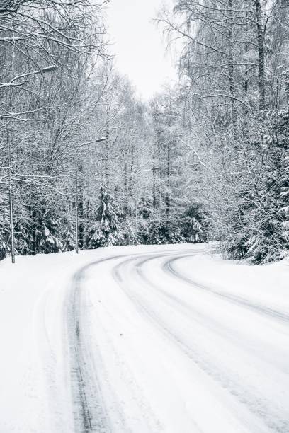 istock Road passing through snowy forest in Norway 1454792968