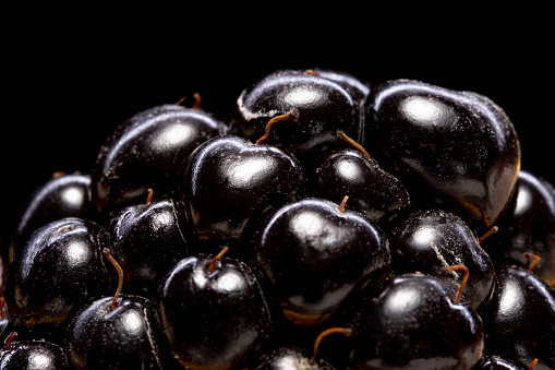 Close up shot of blackberry fruit