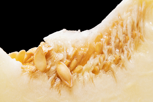 Macro close up shot of honeydew fruit and it’s seeds