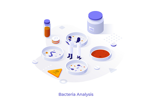 Concept with people in lab coats and Petri dishes with bacterias. Bacteriology experiment, microbiology scientific research. Isometric infographic design template. Modern vector illustration.