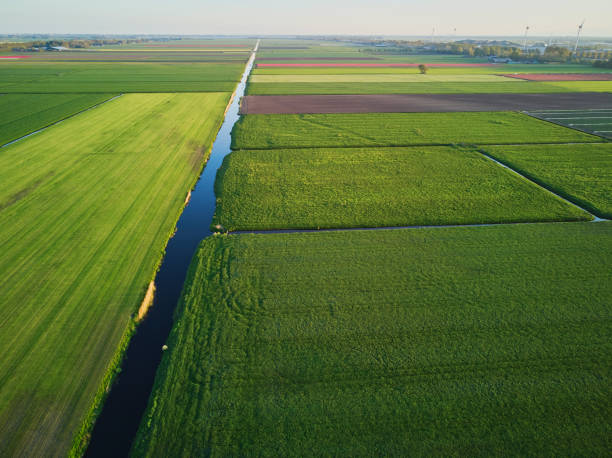 istock Aerial drone view of typical Dutch fields and polders 1454796976