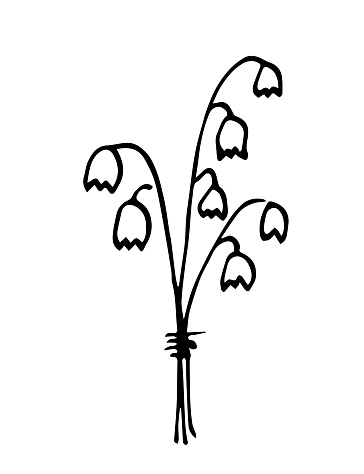 Simple black outline vector drawing. Bouquet of field meadow flowers, bluebells. Ink sketch.