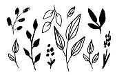 istock Hand drawn vector drawing with black outline. Set of various branches, leaves. Nature and vegetation. 1454799075