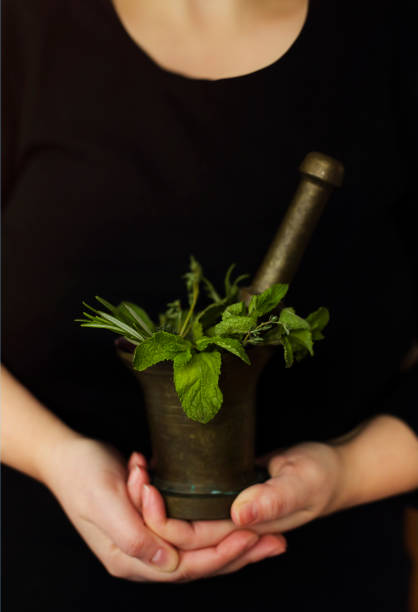 Unrecognizable female demonstrating mortar with pestle and fresh leaves and flowers of herbs