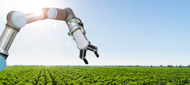 istock Robot is working on agricultural field. 1454804252